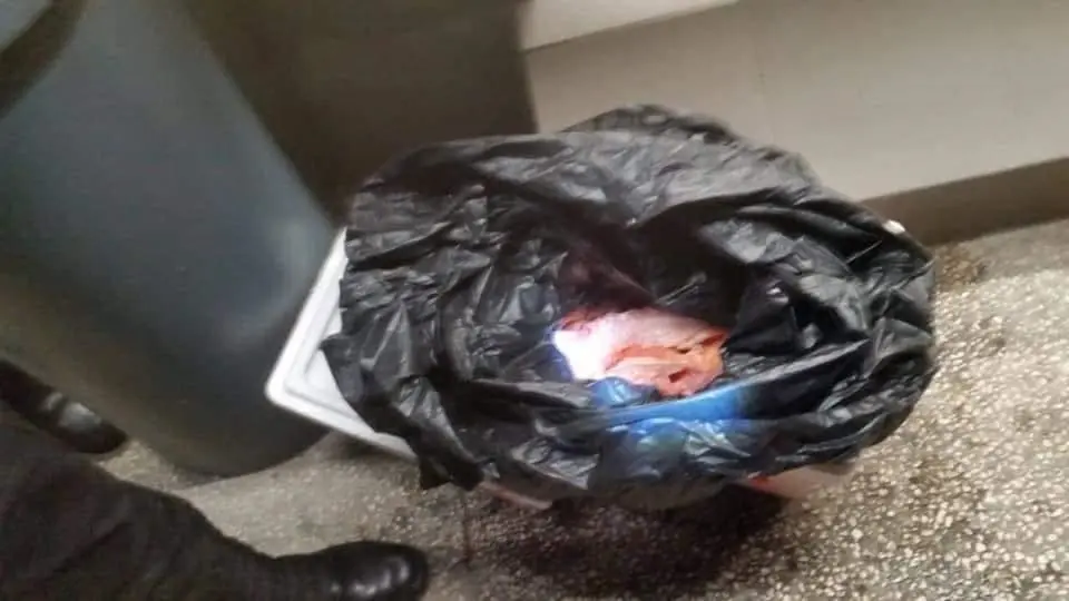 Carne de res, contenido en caja de unicel