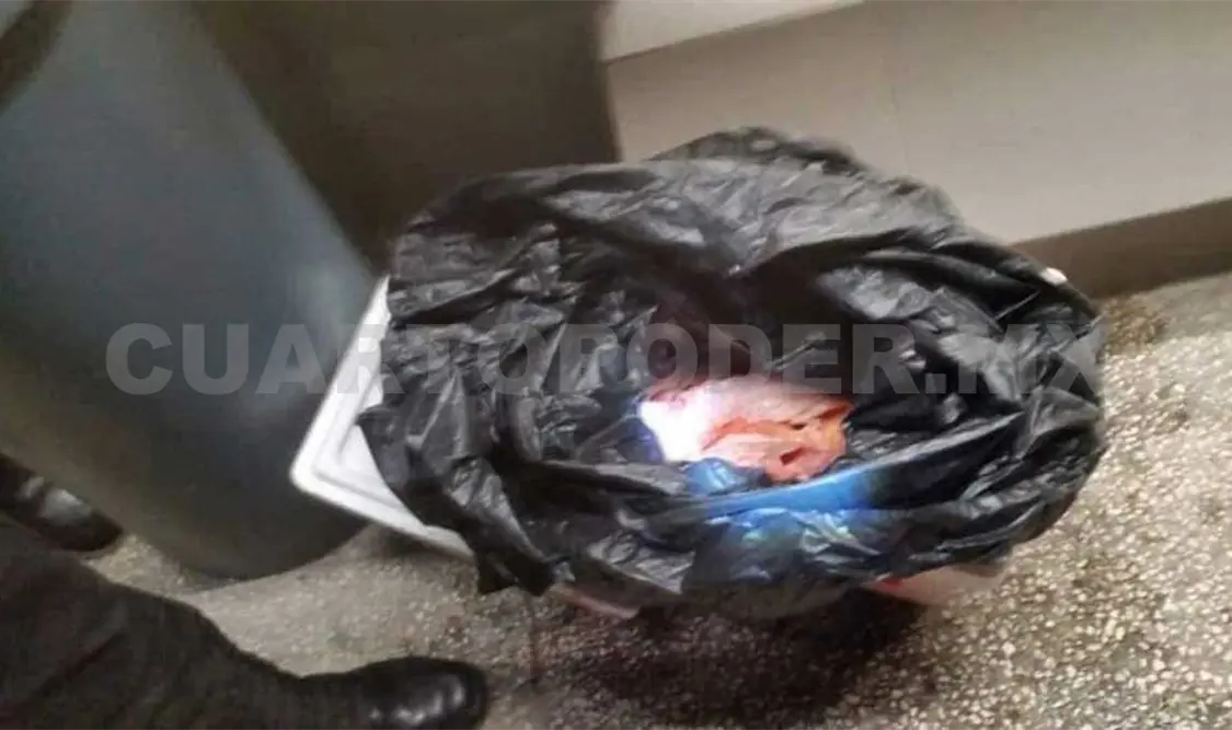 Caja sospechosa contenía restos de carne de res, aclara Fiscalía