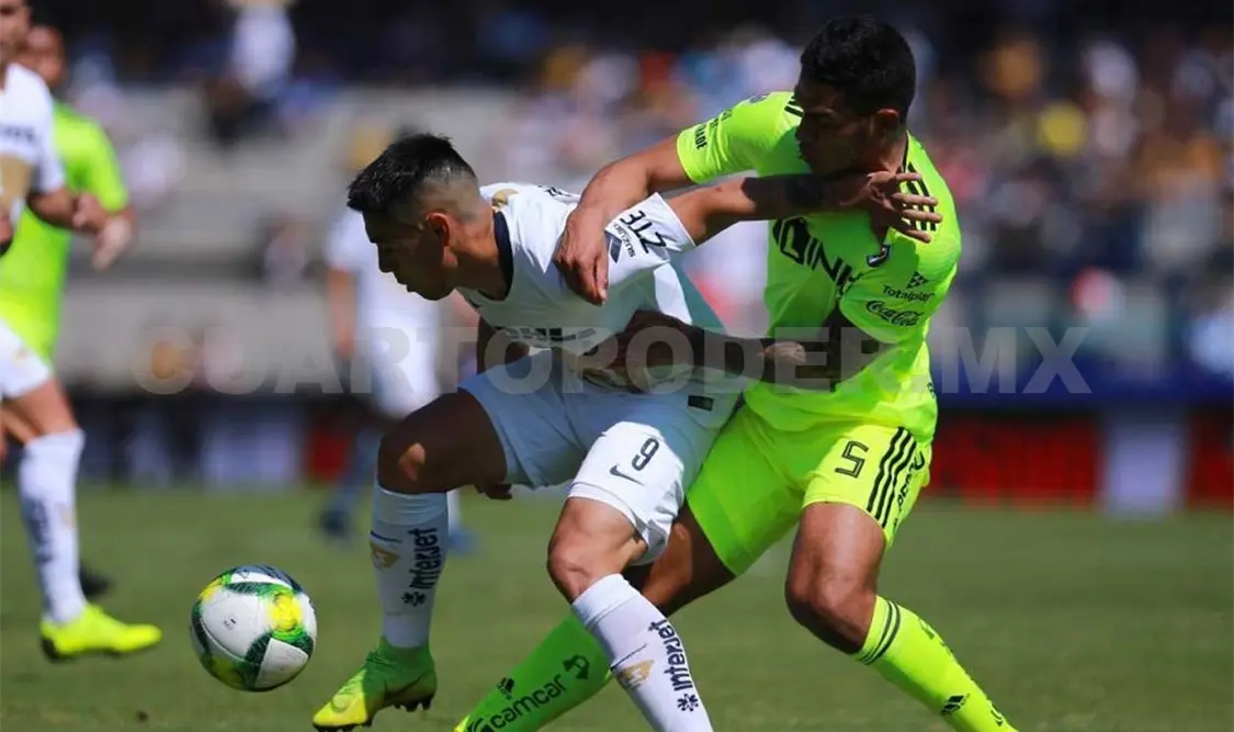 Pumas va en pleno crecimiento