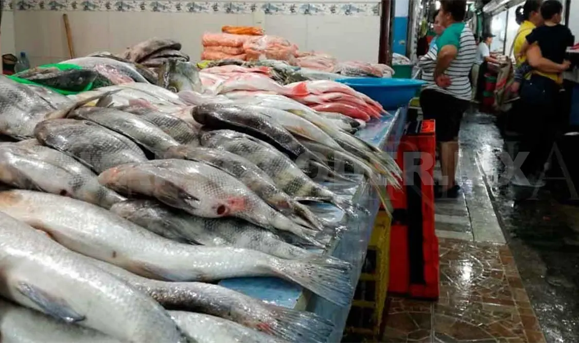 Más probable recibir “gato por liebre” en pescados
