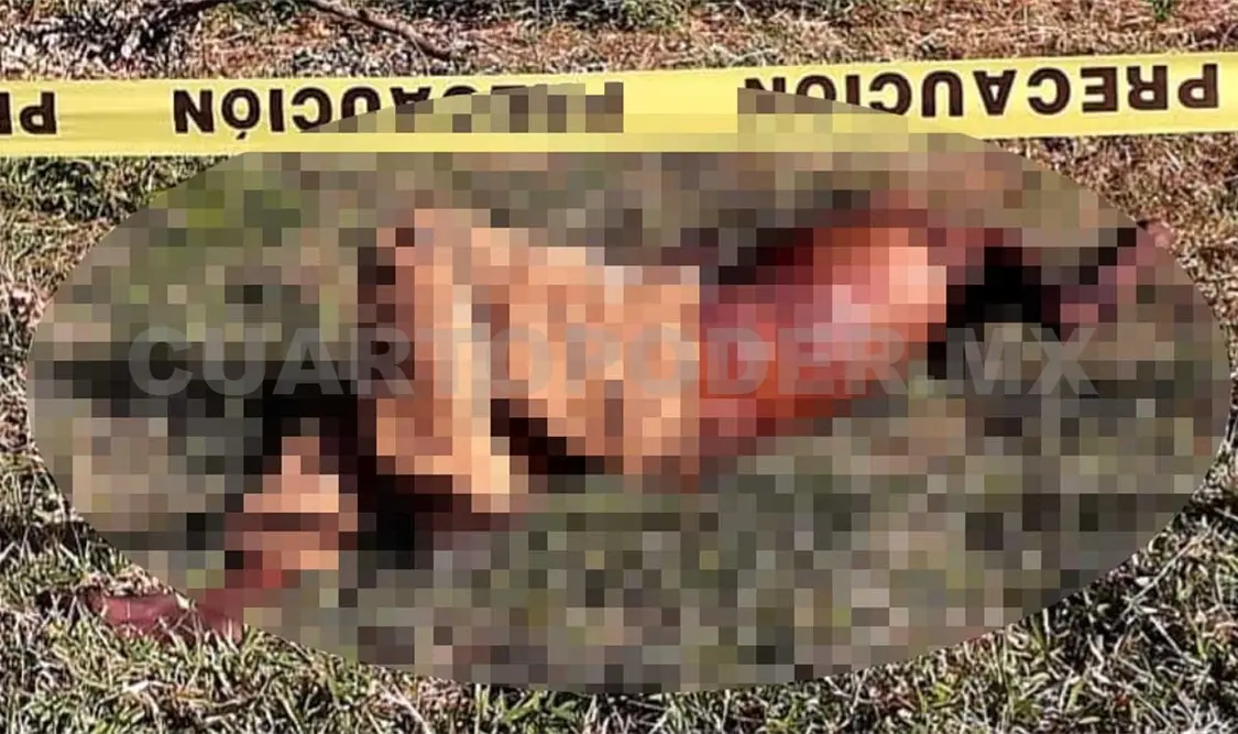 Localizan a hombre muerto en el potrero de una finca