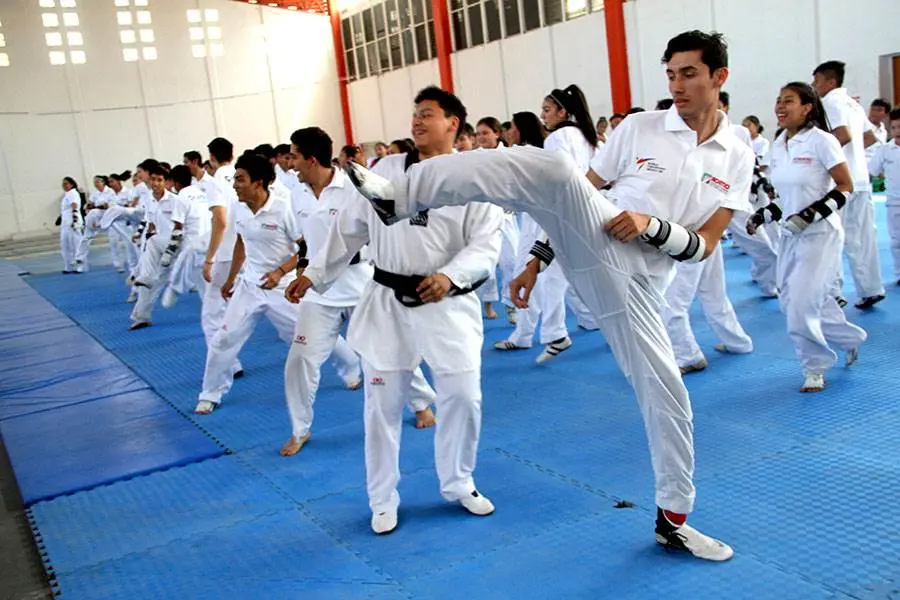 El tiempo de preparación llegó a su final, ahora los taekwondoínes esperan el momento de viajar a las competencias regionales. Cortesía