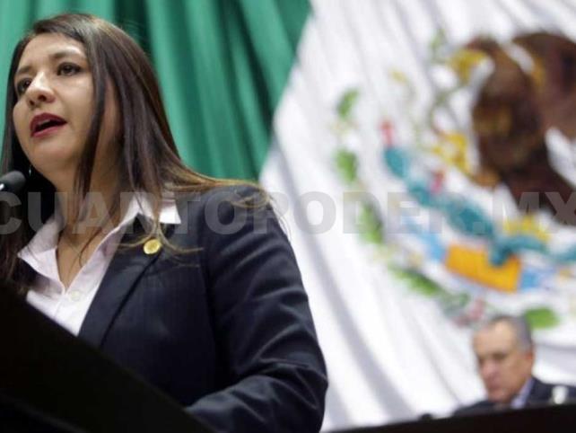 Piden al gobierno los estudios de viabilidad del Tren Maya Piden al gobierno los estudios de viabilidad del Tren Maya