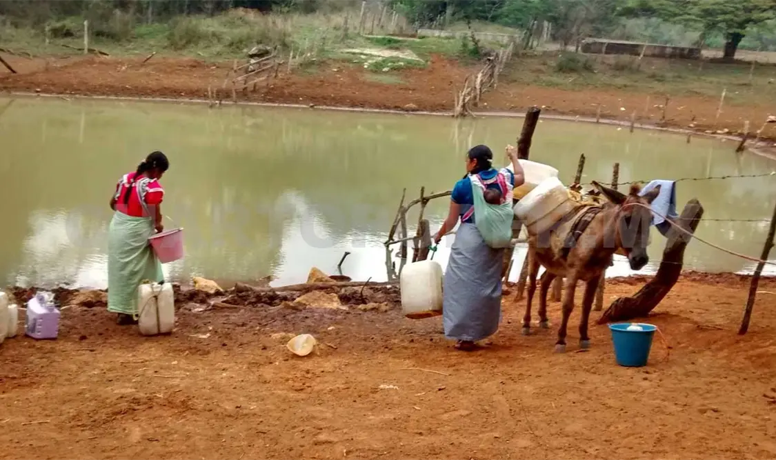 Ignoran recomendaciones de la ONU sobre el agua