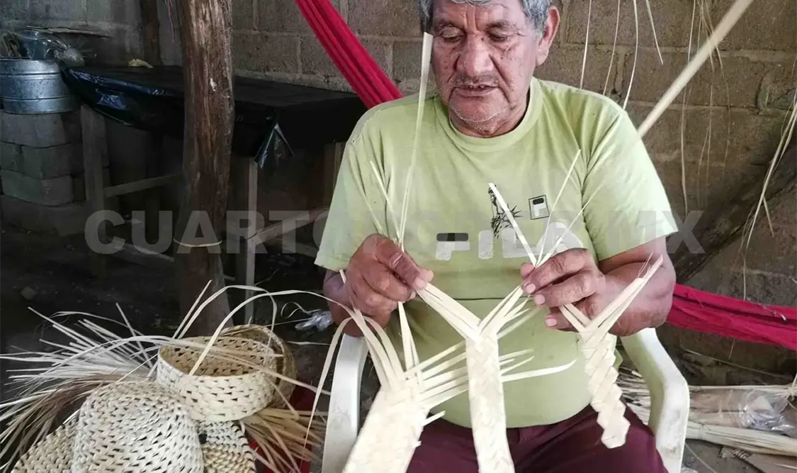 Palmas, sustento en riesgo por construcciones