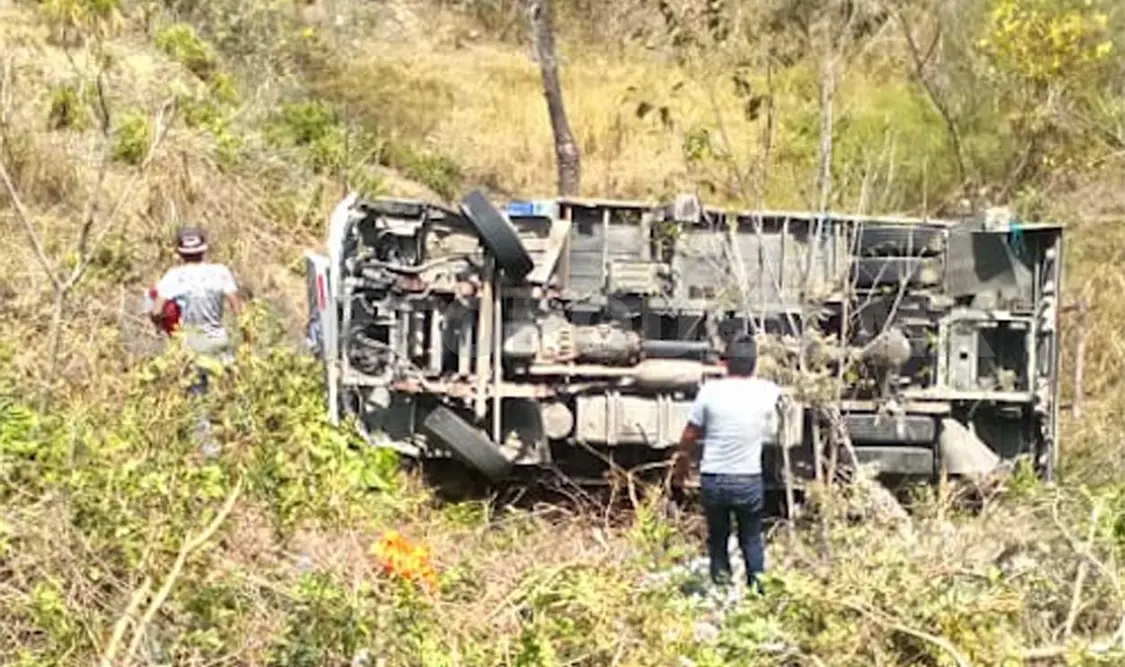 La persona que conducía el camión fue hospitalizada y su automotor fue remitido a un corralón. Flor Cordero / CP