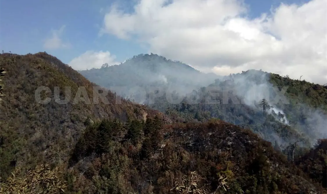 Logran 90% de control en Biosfera “El Triunfo”