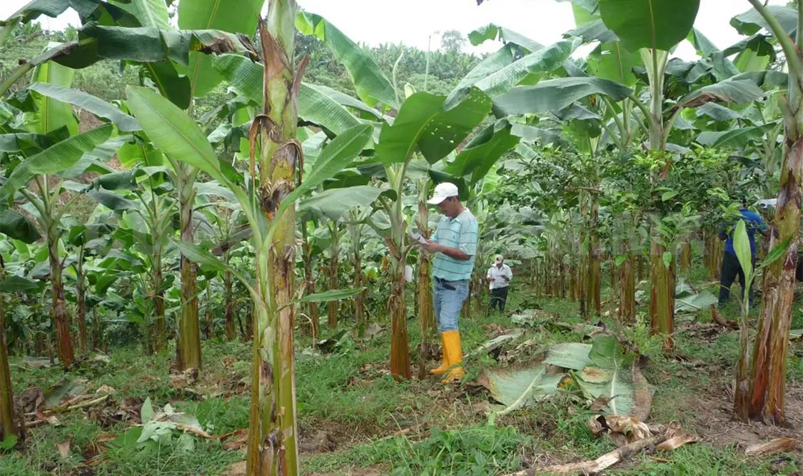 Delegación estatal de agricultura, sin representante