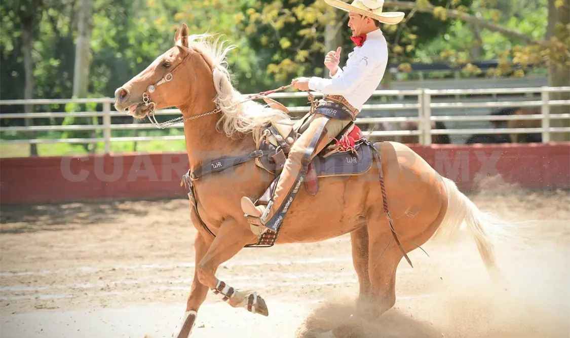 Walter Herrera, líder del Circuito Fiesta Charra