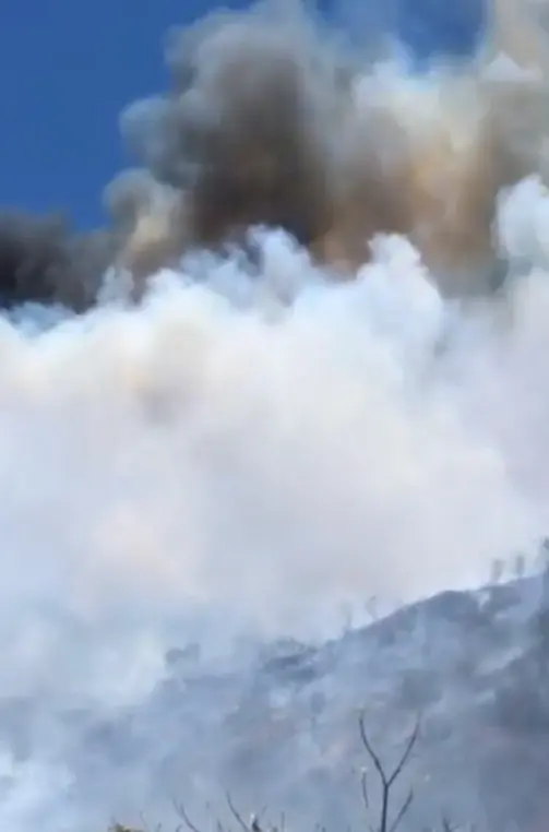 Hay presencia del Ejército Mexicano, Protección Civil y Bomberos. Redes Sociales