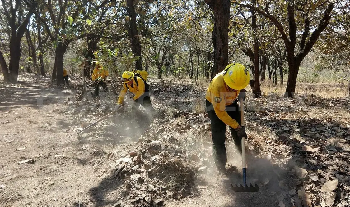 Arranca operativo contra incendios forestales
