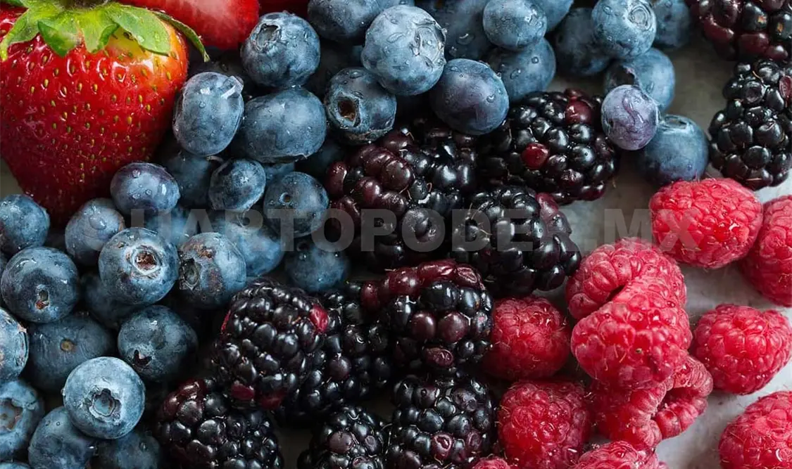 “Berries” van por trono del aguacate