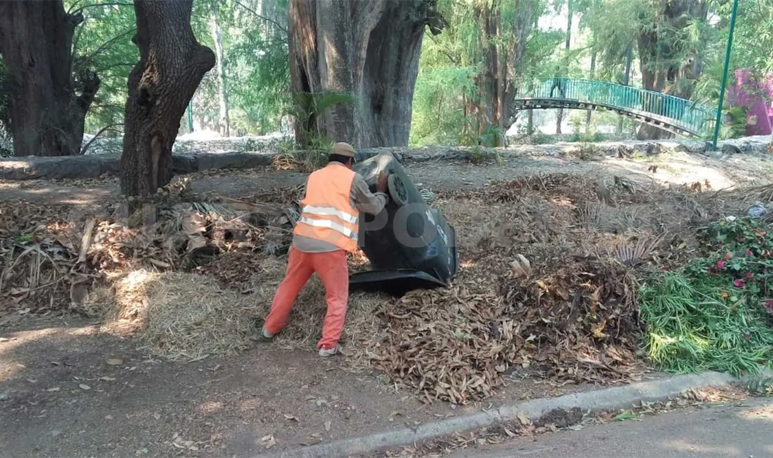 Basura doméstica: grave problema en Tuxtla