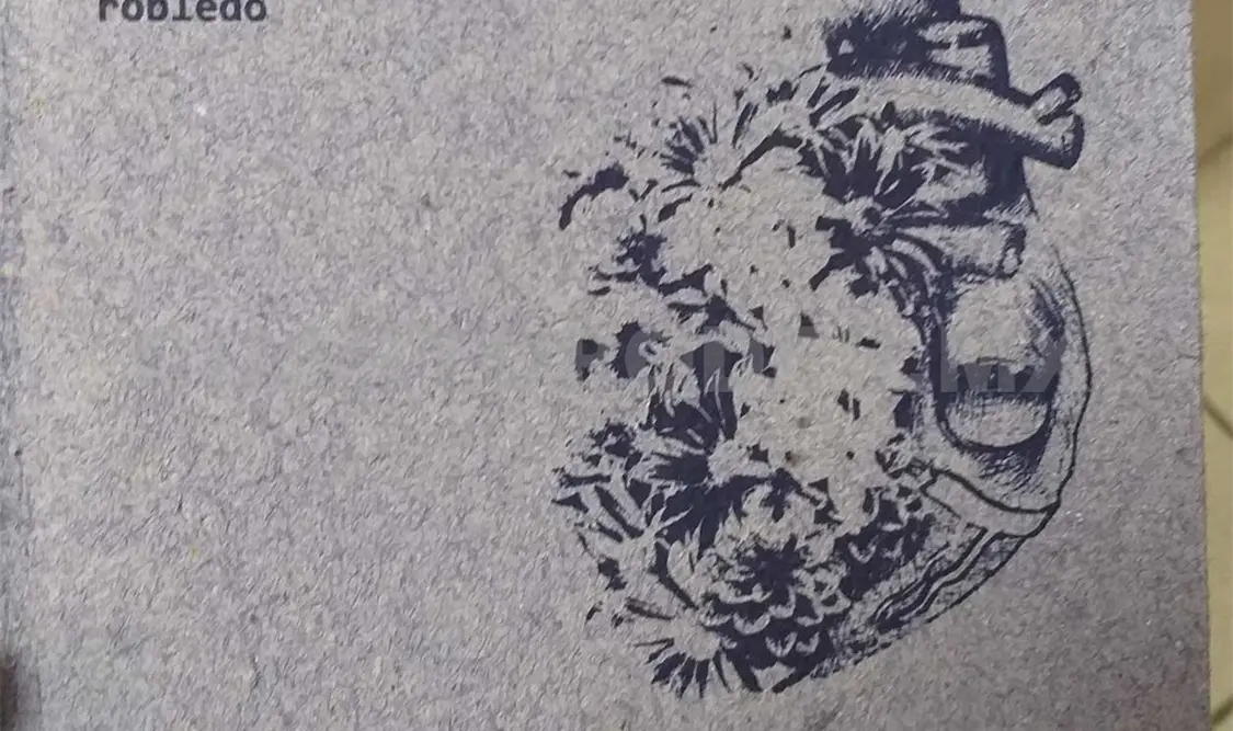 La portada del libro de la autora chiapaneca Mirtha Luz Pérez Robledo. Darwin Mendoza