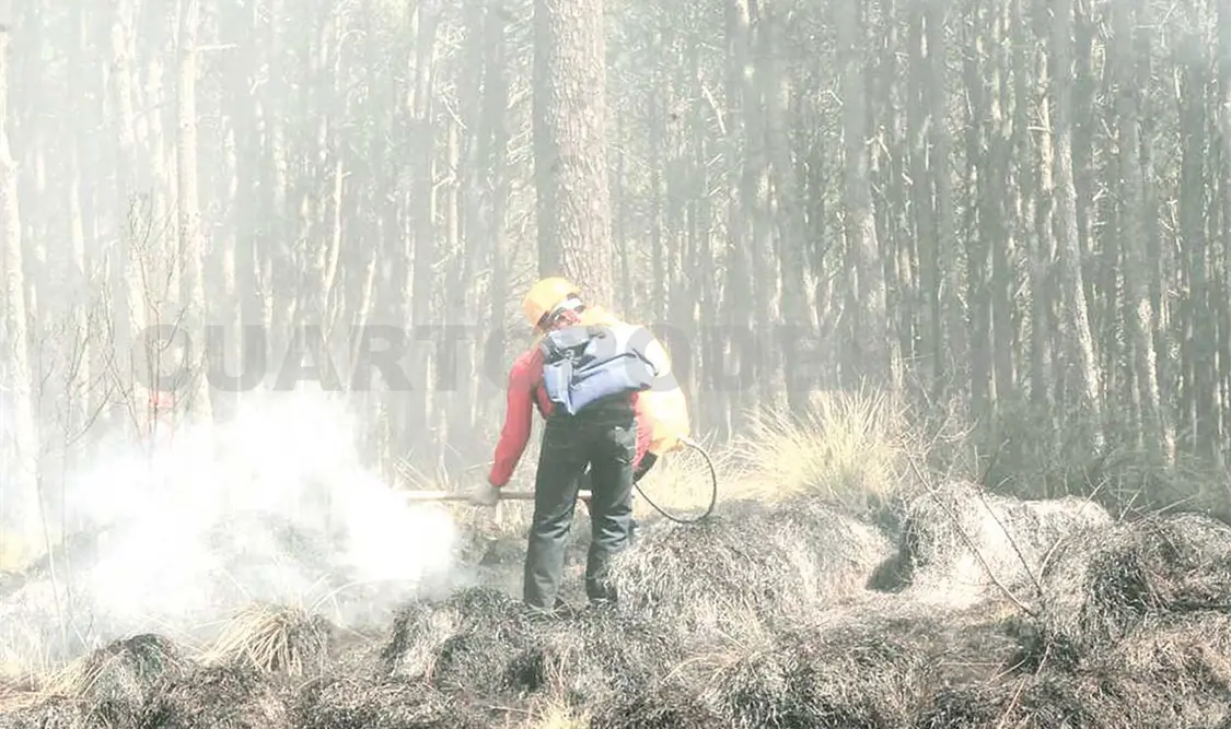 Hay 18 incendios forestales en proceso de liquidación. Agencias