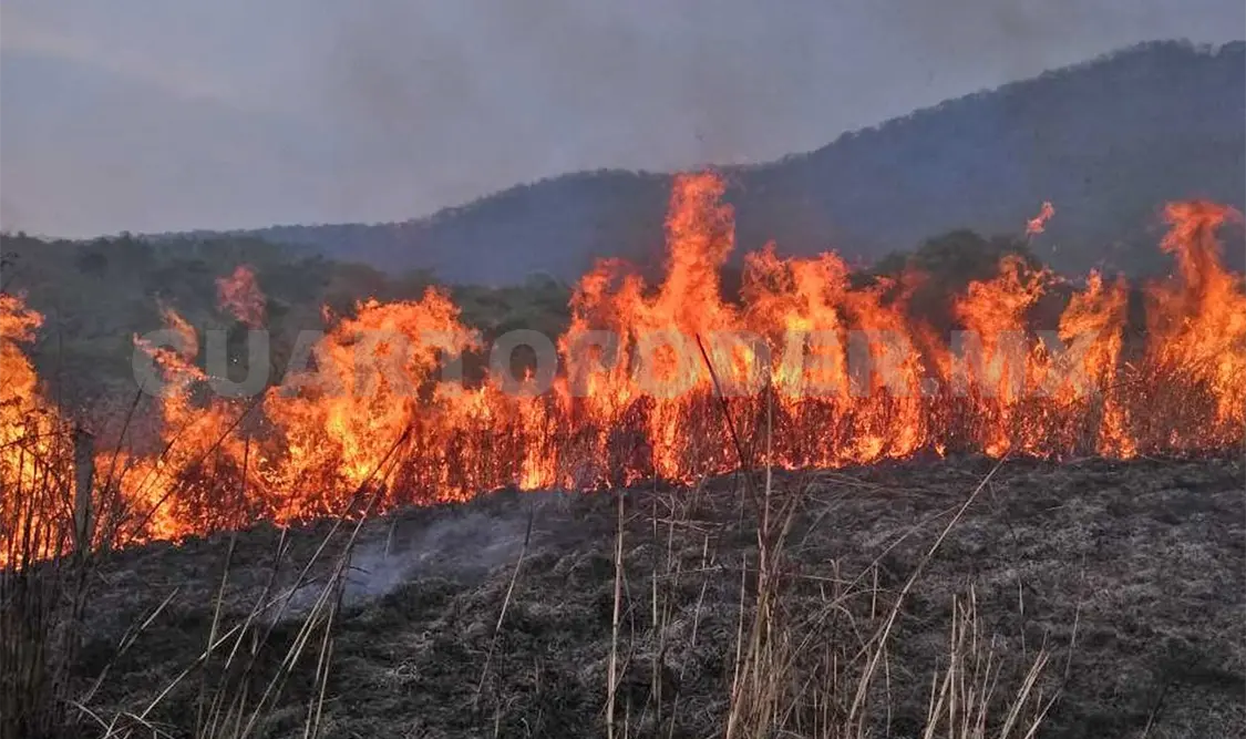 En 1998, en Chiapas, fueron consumidas 200 mil hectáreas a causa de los incendios forestales. Guillermo Ramos / CP