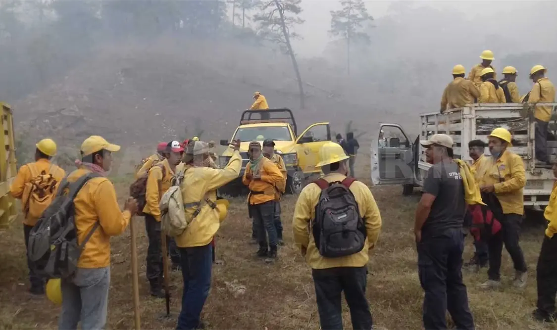 Continúan activos diez incendios forestales