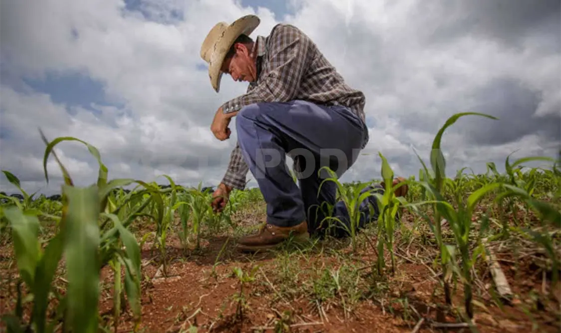 Chiapas la sexta peor economía del país