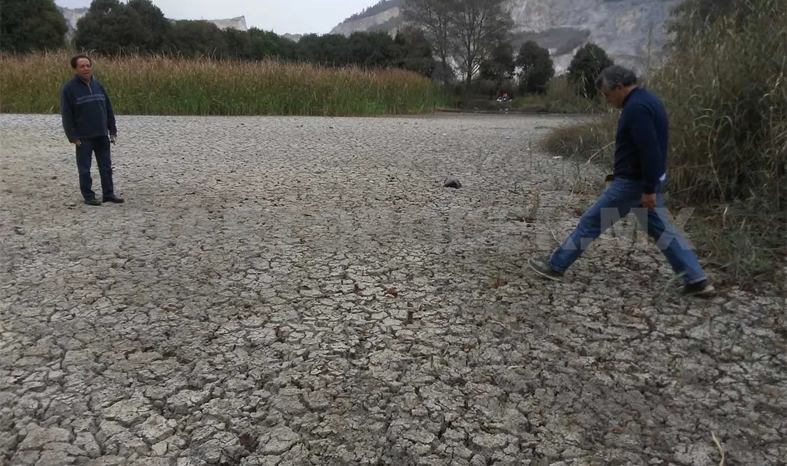 SCLC ha perdido más del 60% de humedales