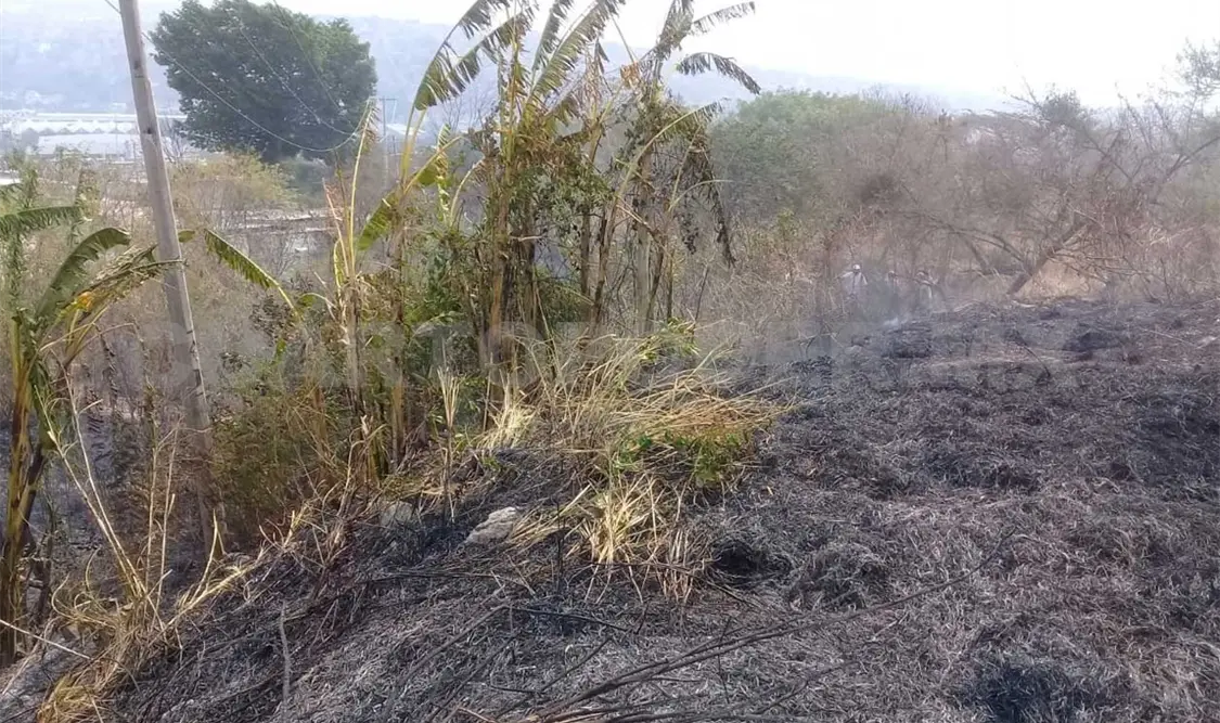 Presentan demanda por daños en planta tratadora