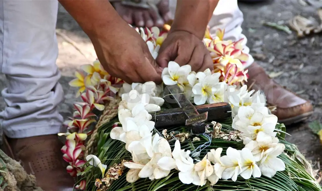 Espadañas, las flores del cerro que adornan a la Santa Cruz