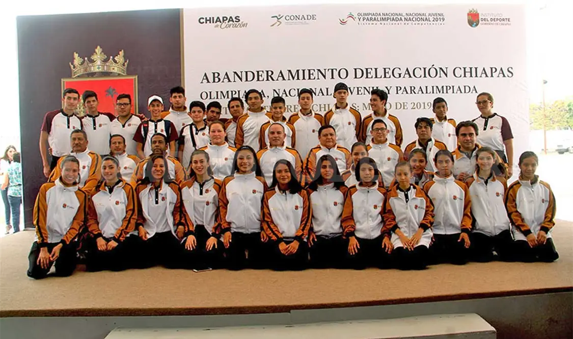 Chiapas en acción en la ONyNJ 2019