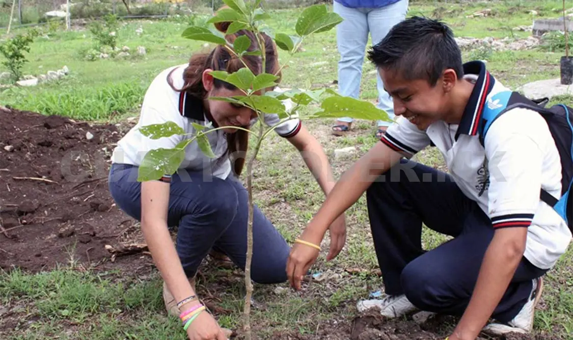 Emprenderán intensa campaña ecológica