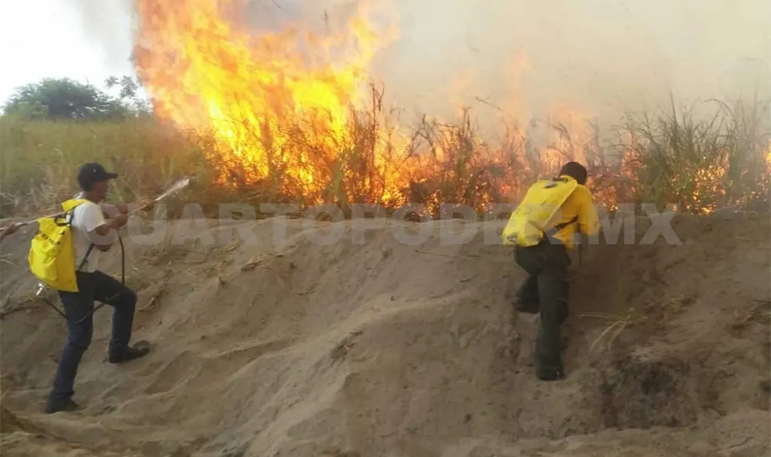 Incendio afecta 150 hectáreas