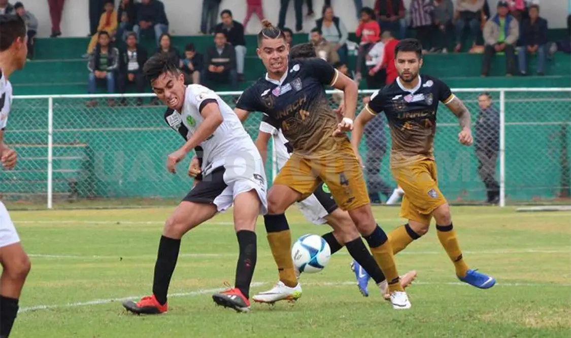 Ocelotes logra semifinales históricas