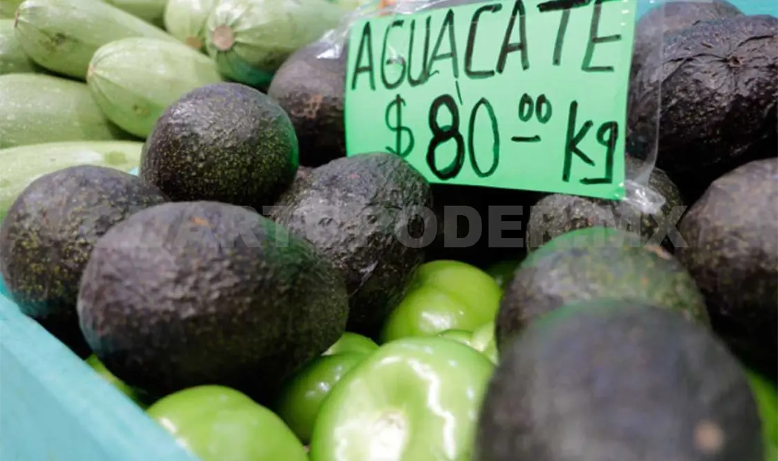 Aguacate hasta en 80 pesos el kilo