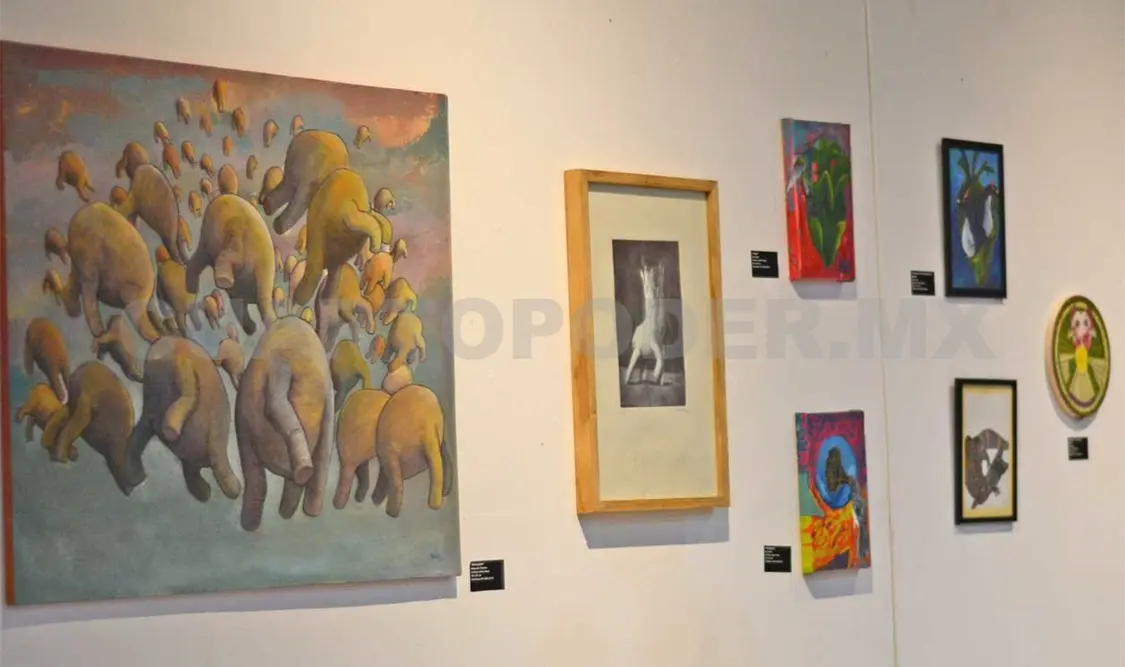 “Fauna del alma” invade Museo de la Ciudad