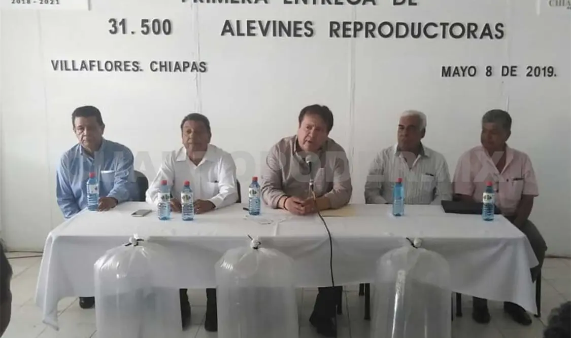 Entregan alevines a productores de Villaflores
