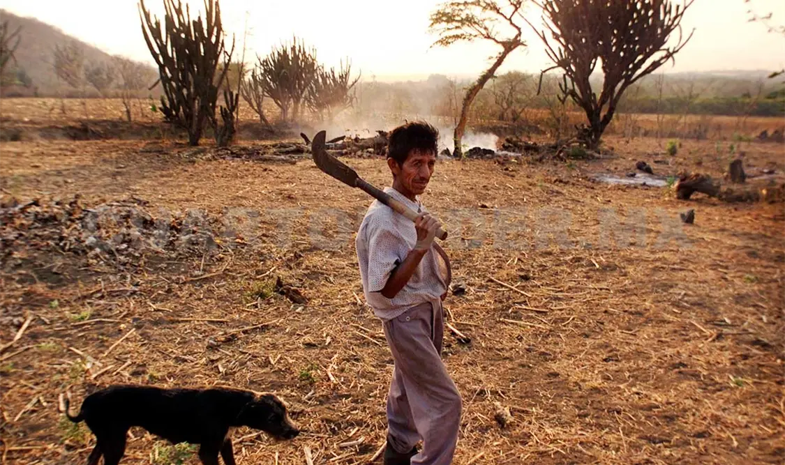 Chiapas registra 91 municipios con sequía
