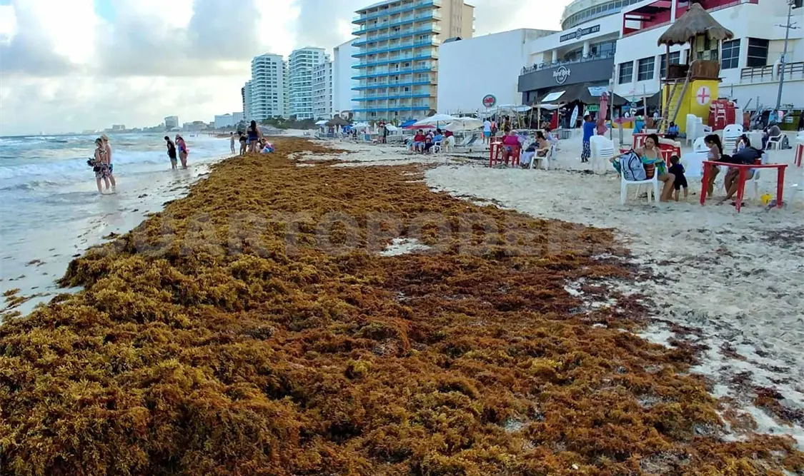 Rescatan a turista en Playa del Carmen