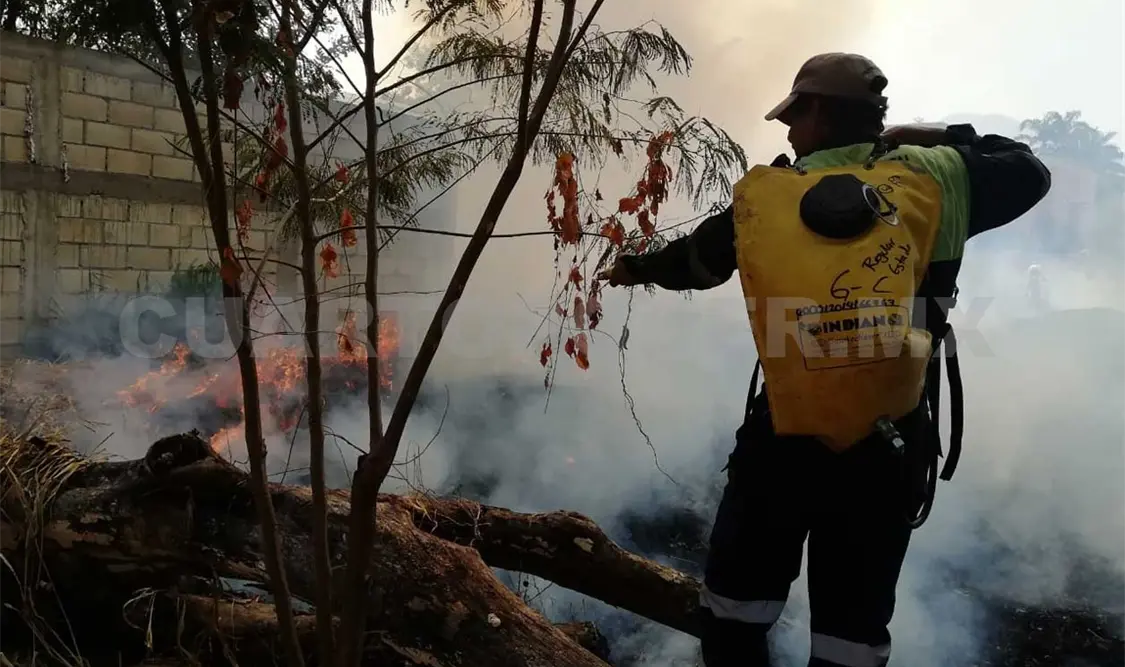 Debastadas 18 mil ha por incendios