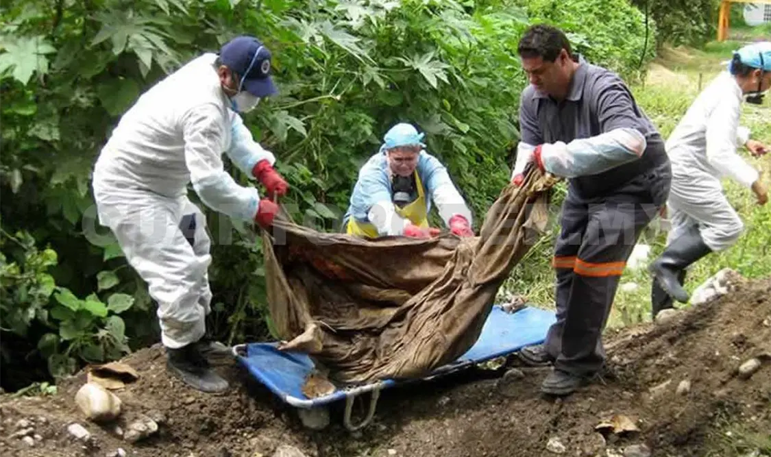 Se tienen contabilizados 113 cuerpos rescatados de fosas clandestinas. Twitter