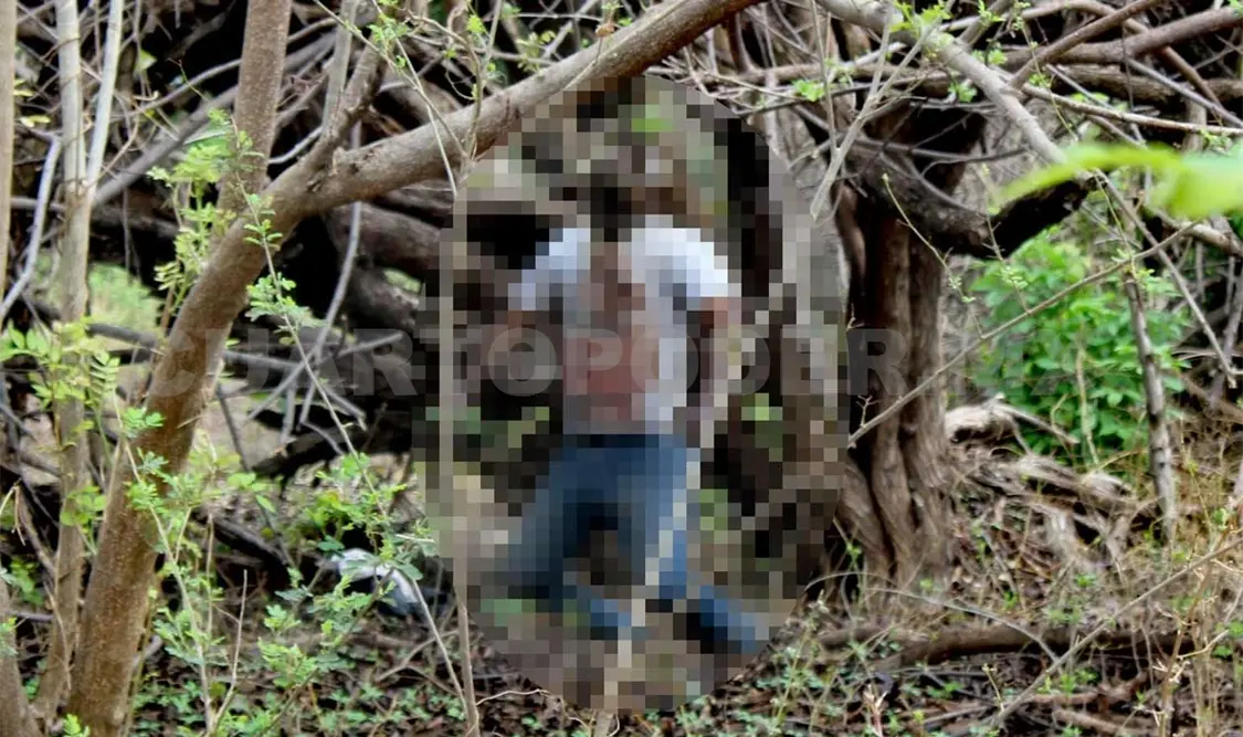 Adulto mayor se suicida colgándose de la rama de árbol