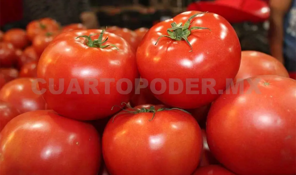 Jitomateros piden frenar cobro de arancel