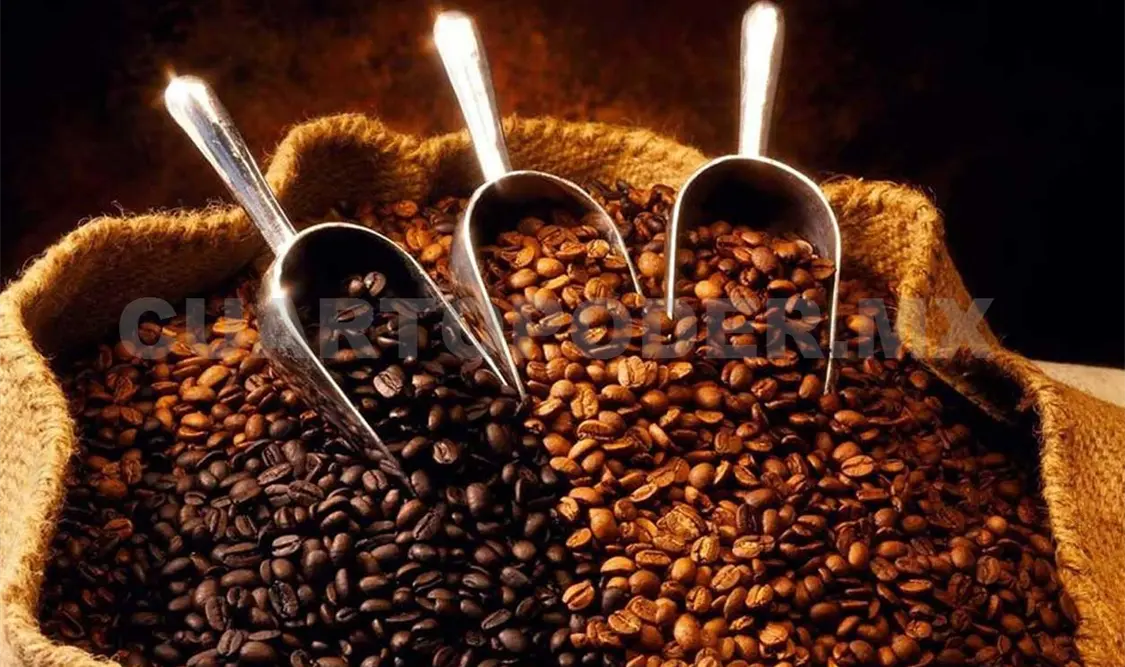 Bienestar para el Campo incorpora a cafetaleros