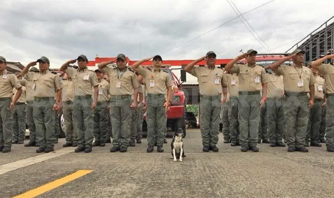 Despiden a mascota de la Unidad Estatal de PC