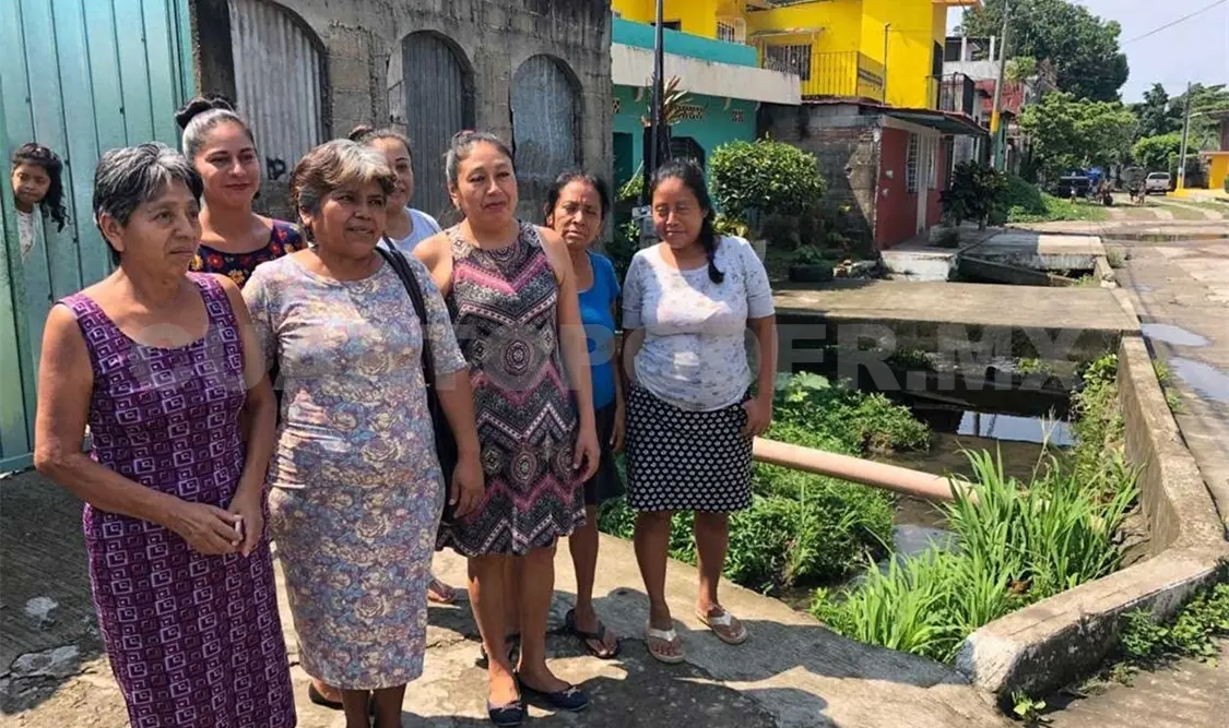 Piden investigar mortandad de peces en arroyuelo