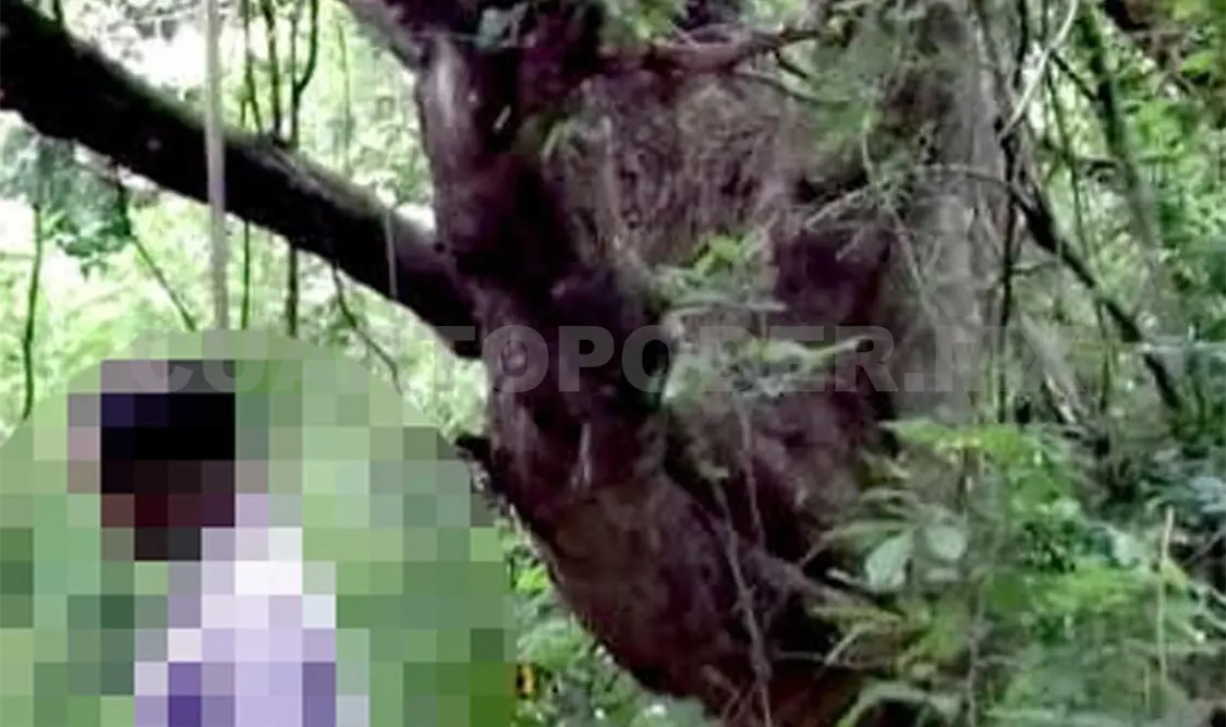 Encuentran a hombre ahorcado de un árbol