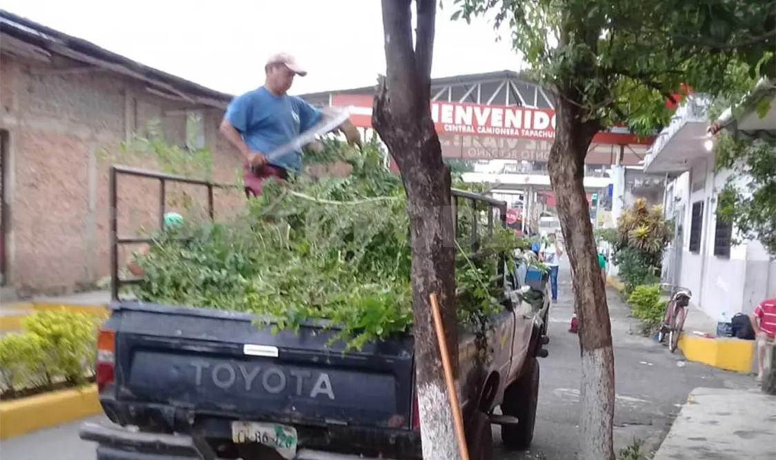 Impiden colonos tirar árboles en calle de Corto Recorrido
