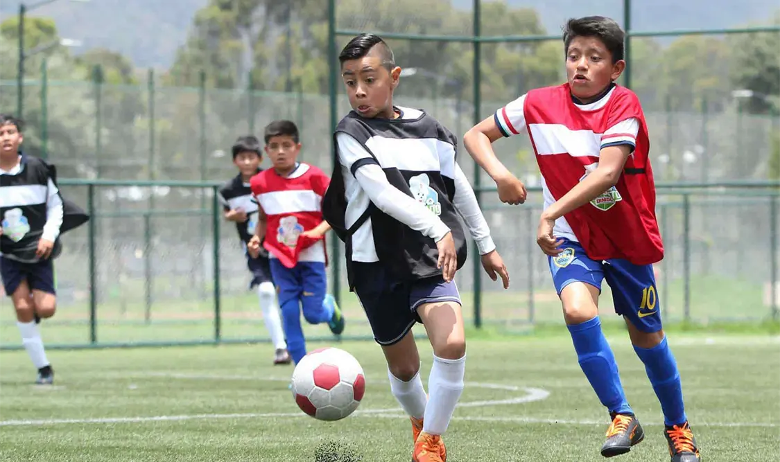 Los campeones del evento representarán al estado en la siguiente fase del torneo más importante del país en dicha categoría. Cortesía