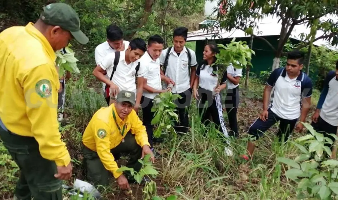 Ambientalistas reforestan en costas de Chiapas