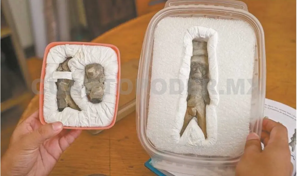 Figurillas encontrada en San Luis Potosí. Cortesía