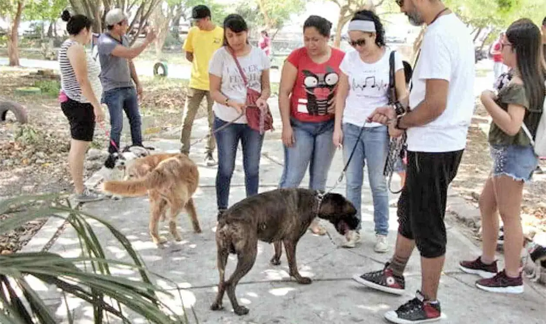 Reinauguran parque para atención de mascotas