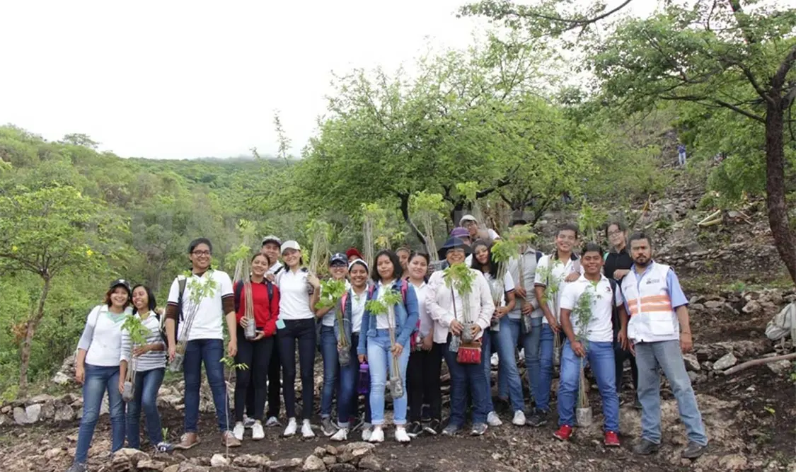 Siembran 200 árboles en el Cañón del Sumidero