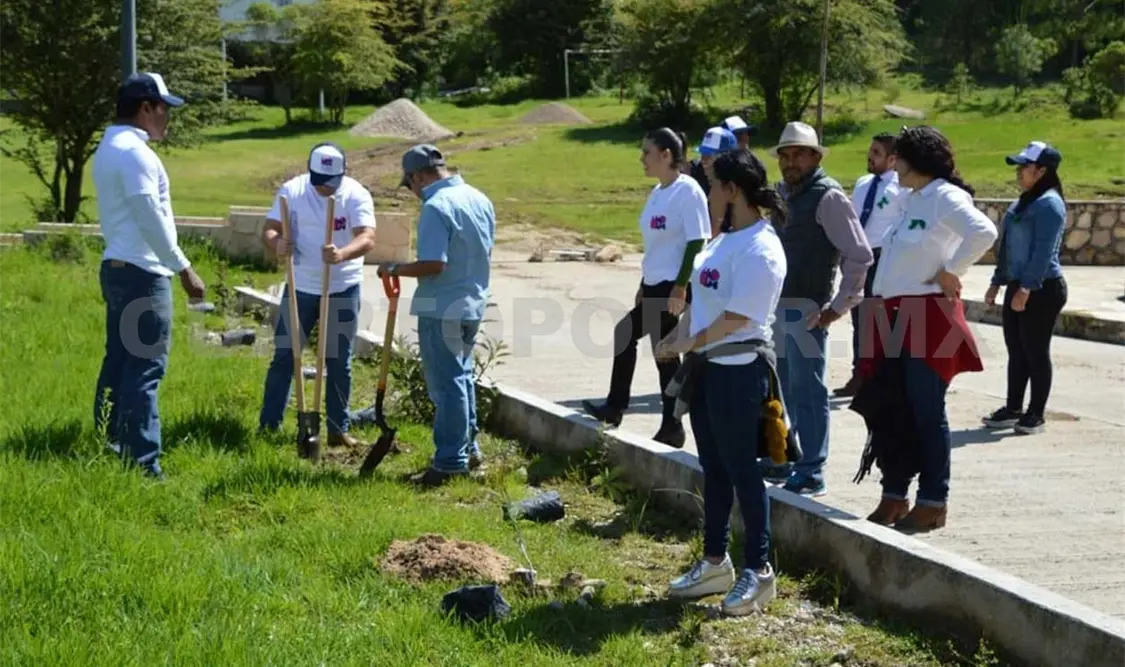 Alumnos y maestros contribuyen a reforestación