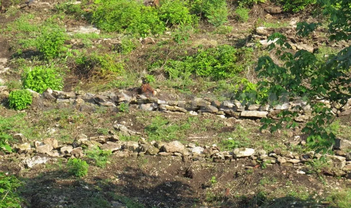 Cañón del Sumidero tardará 15 años en recuperarse